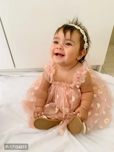 Baby Girls Floral Net Embroidery Dress