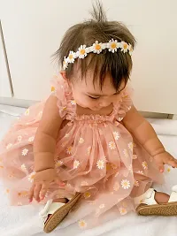 Baby Girls Floral Net Embroidery Dress-thumb2