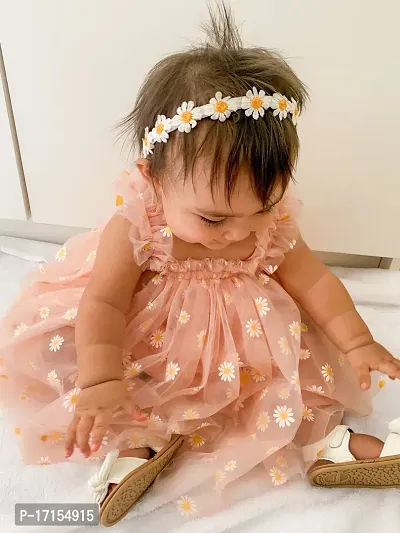 Baby Girls Floral Net Embroidery Dress-thumb3