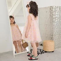 Fit And Flare  Embroidery Girls Dress-thumb1