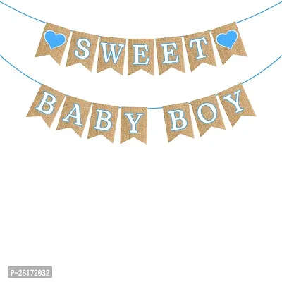 Sweet Baby Boy Banner Decorations