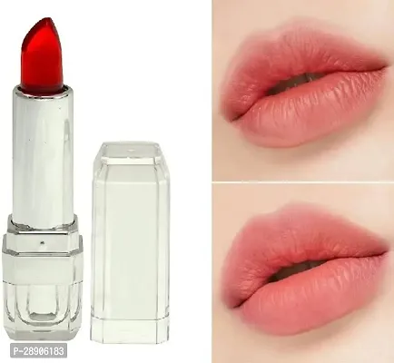 Premium Long Lasting Lipstick