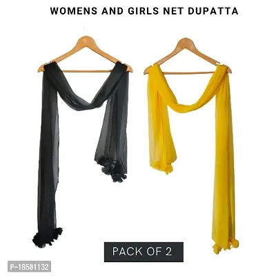 Women Net Dupatta (Pack of 2)