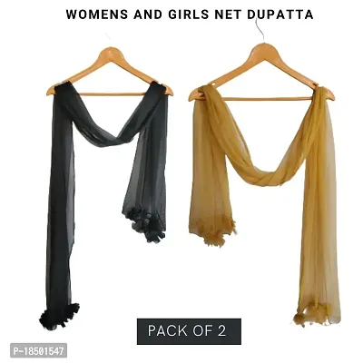 Women Net Dupatta (Pack of 2)