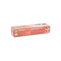 ISME Rasyan Herbal Extra White Toothpaste - Pack Of 2 (30g)-thumb2