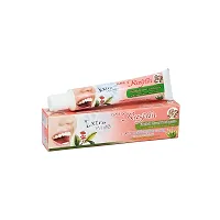 ISME Rasyan Herbal Clove Toothpaste - 30g (Pack Of 2)-thumb1