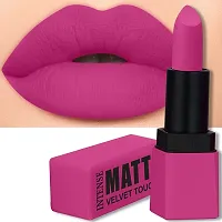 FORFOR? Intense Matte Lipstick Waterproof Long Last Matte Lipstick (Pack of 2, Pretty in Pink, Sepia Brown)-thumb2