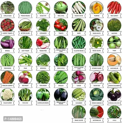 45 Varieties 2700+ seedsOrganic/Hybrid Fruits  Vegetables-thumb0