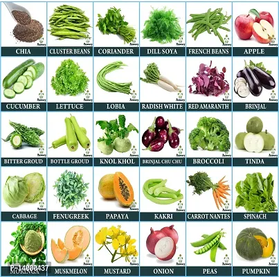 Vegetables Seeds Combo 30 Types of Hybrid Vegetables Seeds