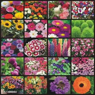 Combo of 20 Variety Flower Seeds Combo Pack