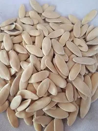 Cucumber (Kheera) Seed 50-thumb1