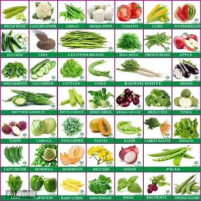 45 Variety of Vegetable Seeds with Instruction Manual Seed 45 per packet-thumb0