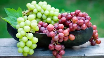 Grapes Seeds::Juicy Grapes Seeds-thumb3