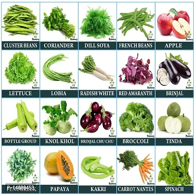 20 Variety Vegetables Seeds Combo Pack