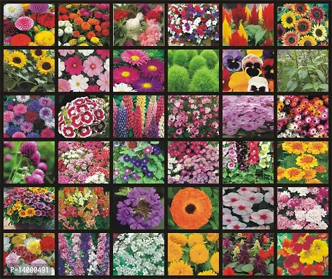 35 Variety of Flower Seeds Combo For Balcony Garden-thumb0