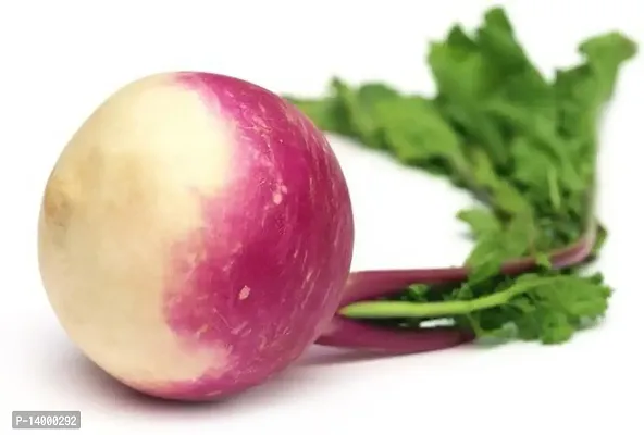 Turnip (Salgam) Vegetables