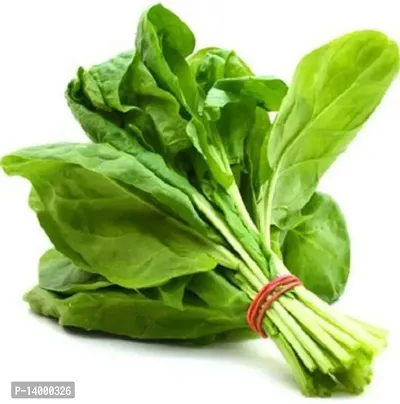 Spinach (Palak) Vegetable