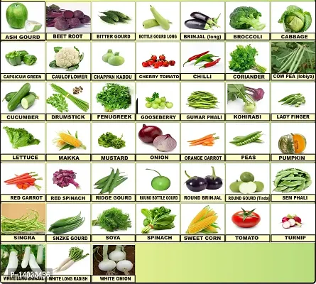 45 Types Organic Vegetable Seeds Seed 45 per packet