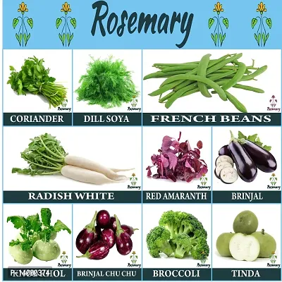 Vegetable Seeds For Kitchen Garden Combo Pack of 10 Varieties-thumb0