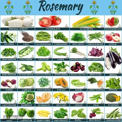 45 Variety of Vegetable Seeds Combo For Home Garden With Instruction Manual