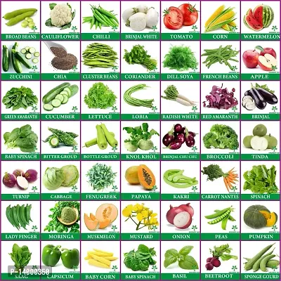 Vegetables  Fruit Seeds Combo 50 Varieties In one Pack Grow Your Own Garden-thumb2