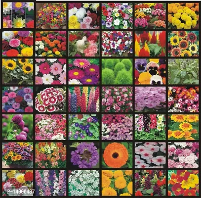 40 Variety of Flower Seeds Combo For Home Kitchen Garden-thumb0