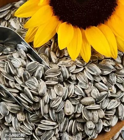 Sunflower seeds::Soorajmukhi Beej-thumb3