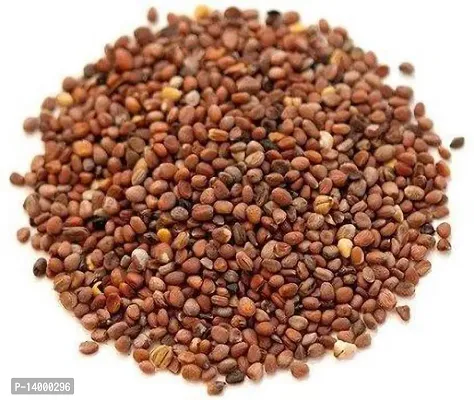 (Mooli) Radish Vegetable Seed (50 Per Pkt)