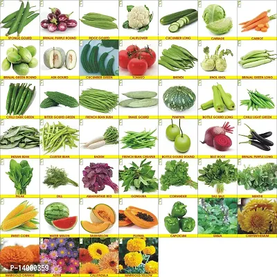 Vegetable Combo 45 Varieties Home Garden Pack-thumb0