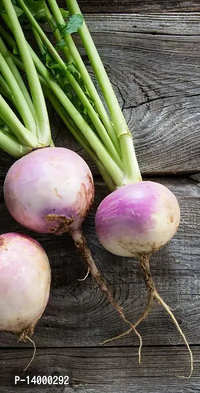 Turnip (Salgam) Vegetables-thumb3