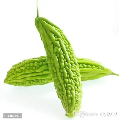 Bitter Gourd (Karela) Vegetable-thumb4