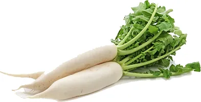 (Mooli) Radish Vegetable Seed (50 Per Pkt)-thumb1