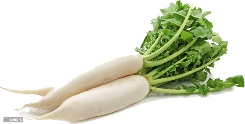 (Mooli) Radish Vegetable Seed (50 Per Pkt)-thumb2