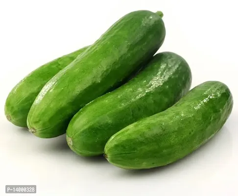 Cucumber (Kheera) Seed 50