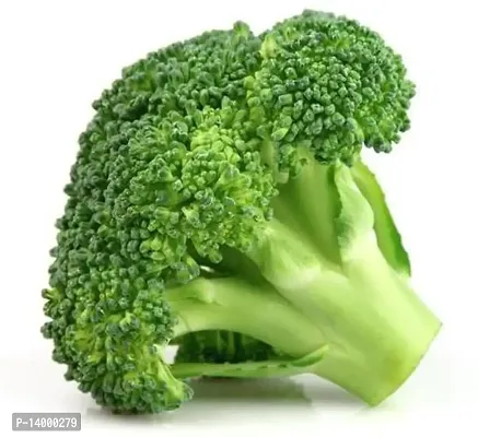 Broccoli/ Brassica Oleracea-thumb3