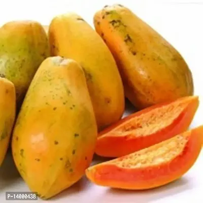 Fruit Hybrid Papaya (Papita) Best Wuality Seeds Pack of 50