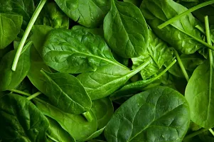 Spinach (Palak) Vegetable-thumb1