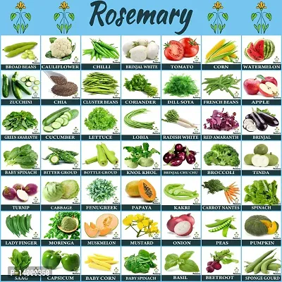 Vegetables  Fruit Seeds Combo 50 Varieties In one Pack Grow Your Own Garden