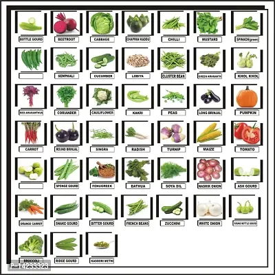 Rosemary 45 Variety of Vegetable Seeds Combo Kitchen Garden Pack-thumb0