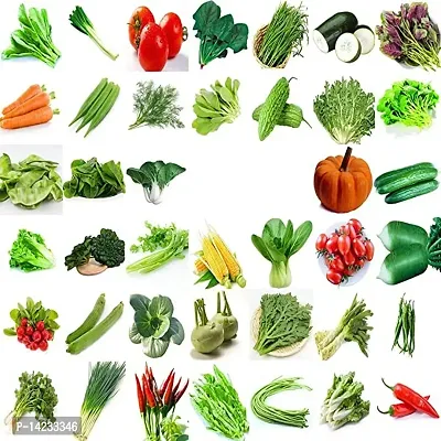 Rosemary 40 Varieties of Vegetable Seeds Combo Pack