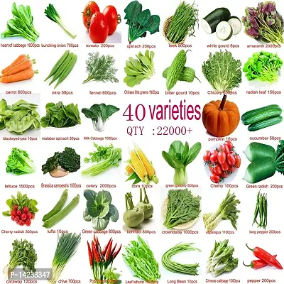 Rosemary 40 Varieties of Vegetable Seeds Combo Pack