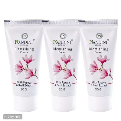 Nandini Herbal Blemishing Cream, 30gms(pack of 3)