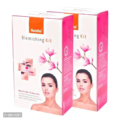 Nandini BLEMISHING Facial Kit For Man and Women,110gsm (Pack of 2)
