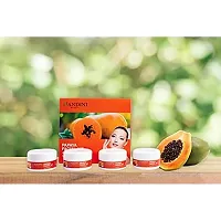 Nandini Papaya Facial Kit, 210gm.-thumb3