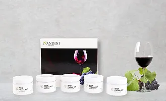 Nandini Herbal Wine Facial kit 260g-thumb3