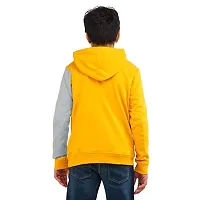 Classic Fleece Printed Hoodie Sweatshirts for Kids Boys-thumb1