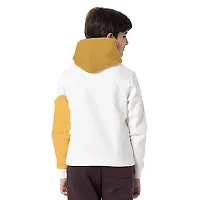Classic Fleece Printed Hoodie Sweatshirts for Kids Boys-thumb1