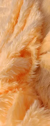 Yo Comfort Unstitched Fur Fabric. Use: Soft Toys, Cushions, Dresses, Jackets, Home Furnishing Etc. (2M, Light Peach)-thumb4