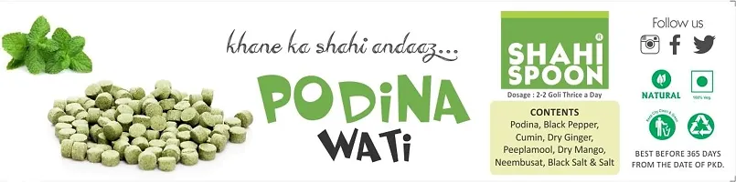 Shahi Spoon Podina Wati Churan,50gm-thumb1