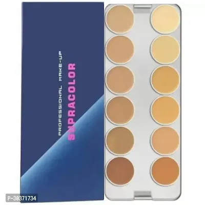 Kryolan Foundation Palette | 12 Shades in 1 Palette for Professional Makeup Foundation  (Multicolor, 40 ml)